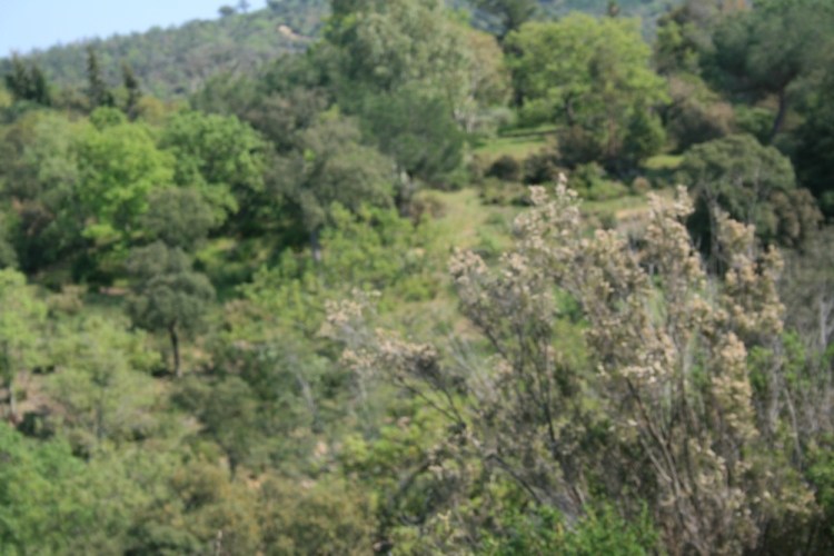 ethiopie_3 ethiopie_3