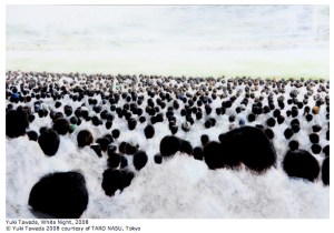 6a00d83454c2fa69e201053578dc52970c-800wi