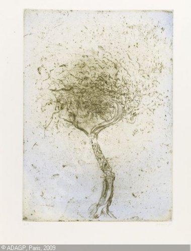 music-zoran-antonio-1909-2005-motif-vegetal-hommage-a-caspar-2777308