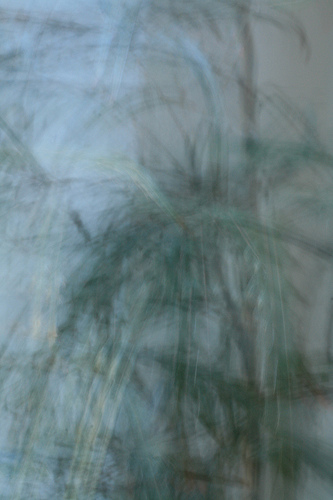 3542363130_627293c83f