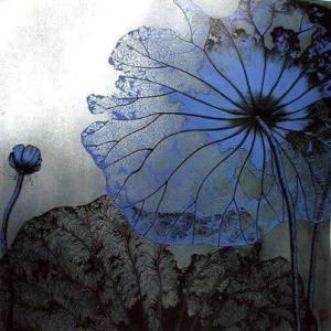 156001_344216449017672_786974792_n