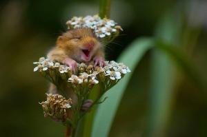 375880_509149799100723_1245929402_n