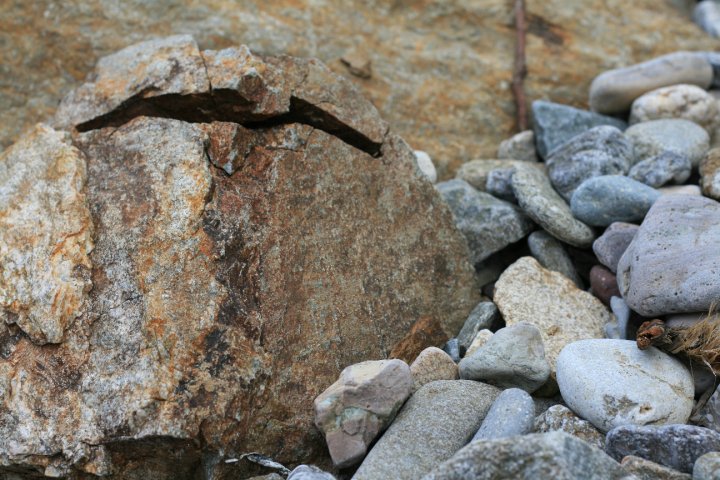 23768_1274183893804_1206123603_30609186_7011770_n