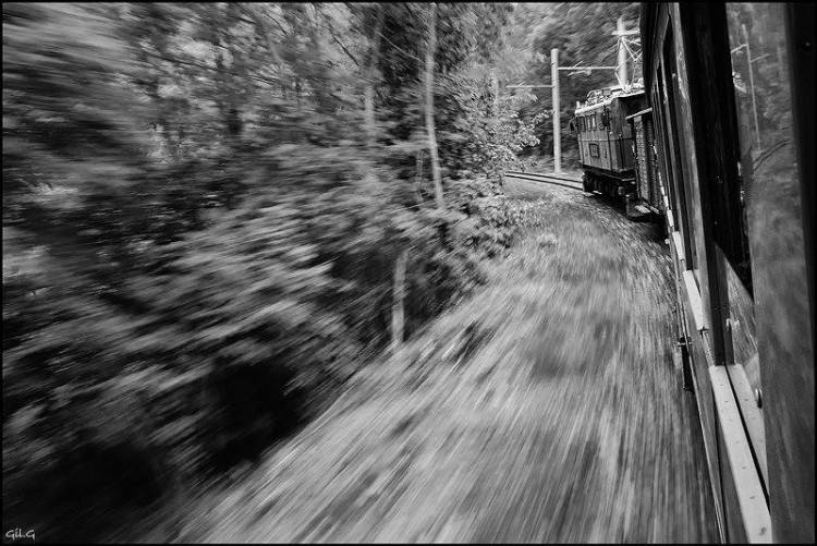 632_3157343629060_444927883_n