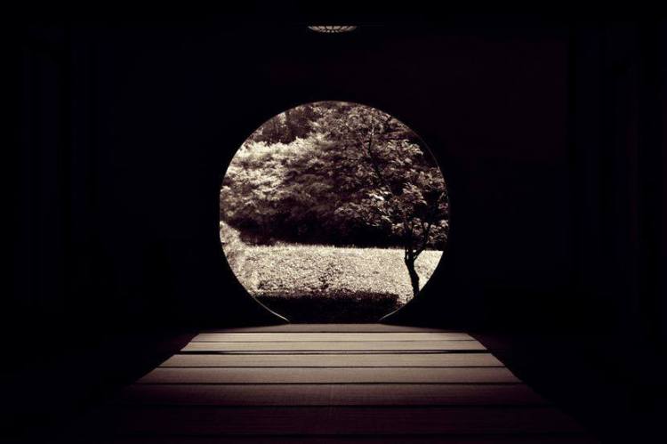 1236967_572838549443148_1925794526_n