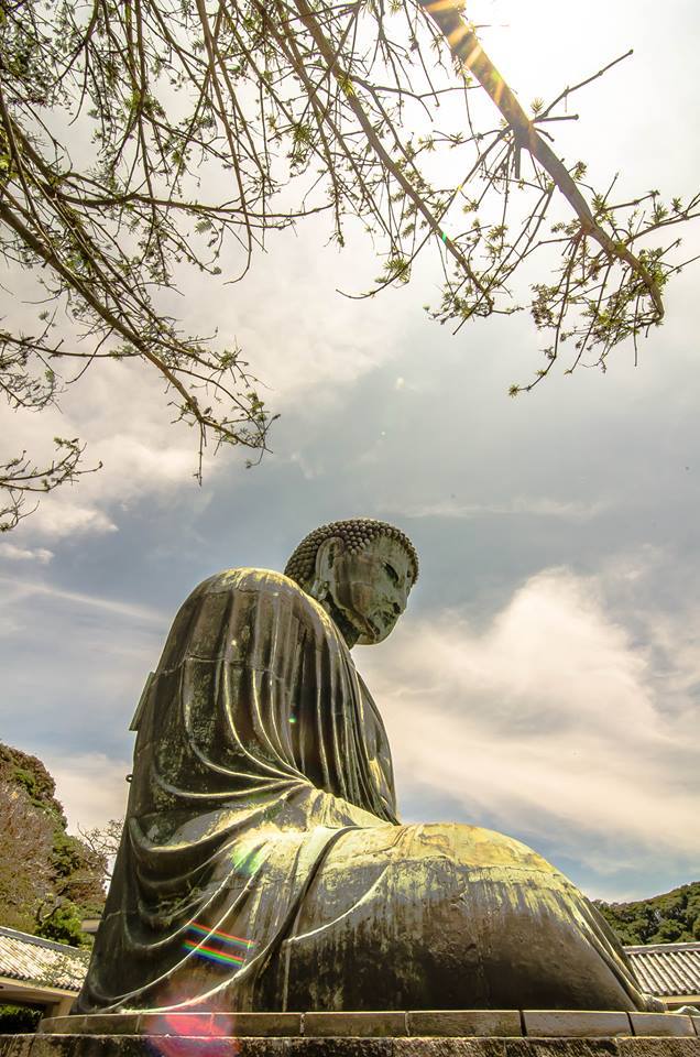 528208_578212745549518_885977516_n