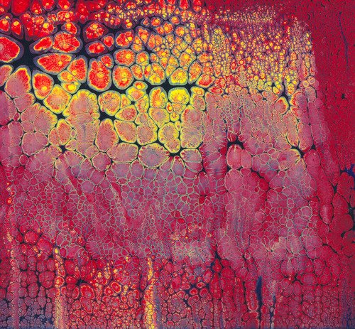 Perhaps a human language is possible in which the intent of meaning is actually beheld in three-dimensional space (c) Loci artist 