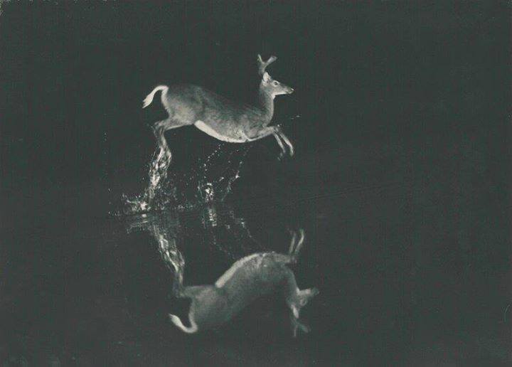 Hobart Vosburg Roberts , A Leap in the Dark, c 1920
