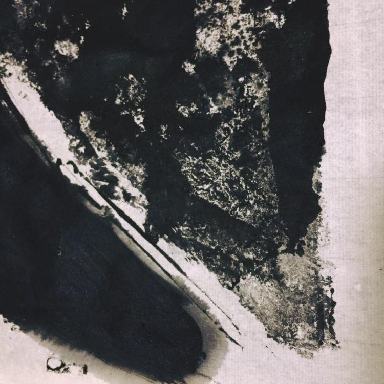 12522947_1031261577031958_8780315262260872934_n