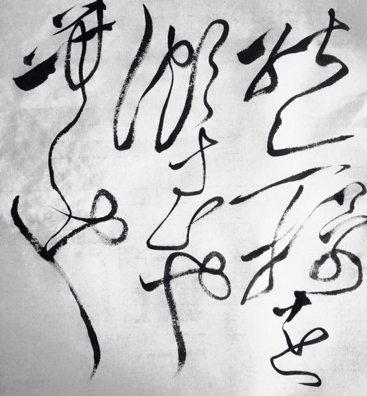 13062911_10207898990385769_4914778322747004567_o