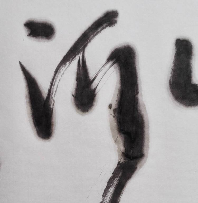 13123349_1140663695945144_335531572574143726_o