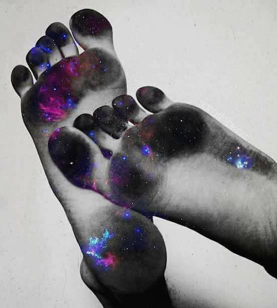 18881960_1913474208909611_2378363888996661754_n