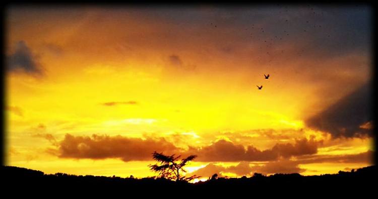 16426027_10211457277285722_8158796692778223787_n