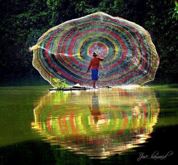 1797504_10201744600521484_2062388511_n