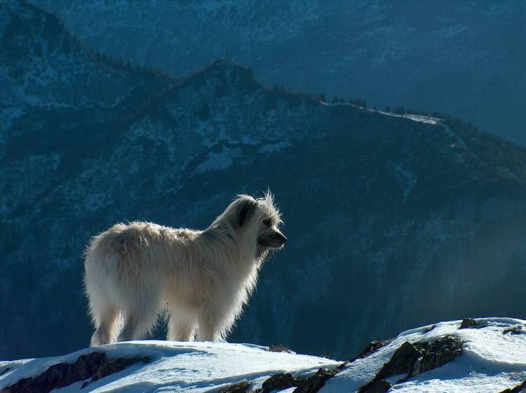 cover-image-labrit_david_mignot_04 (2)